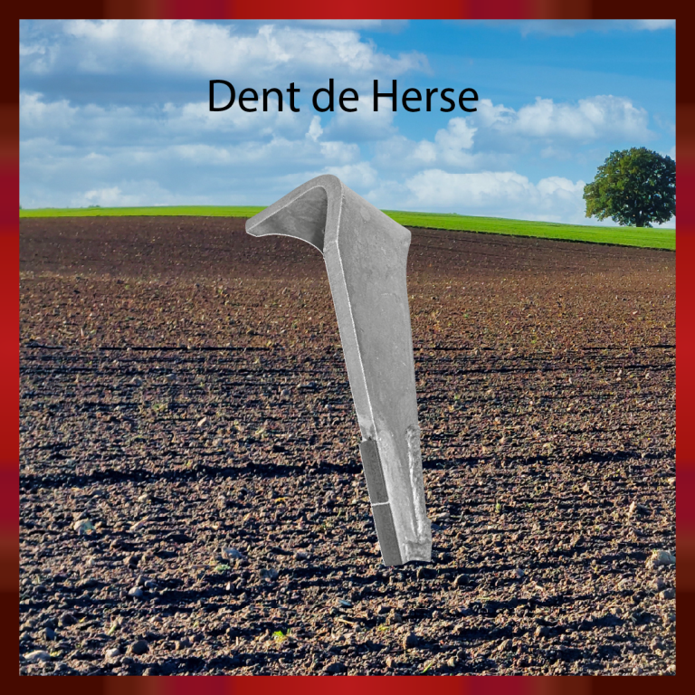 Post ADI Carbures 31-10-2025-08