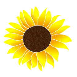 Tournesol